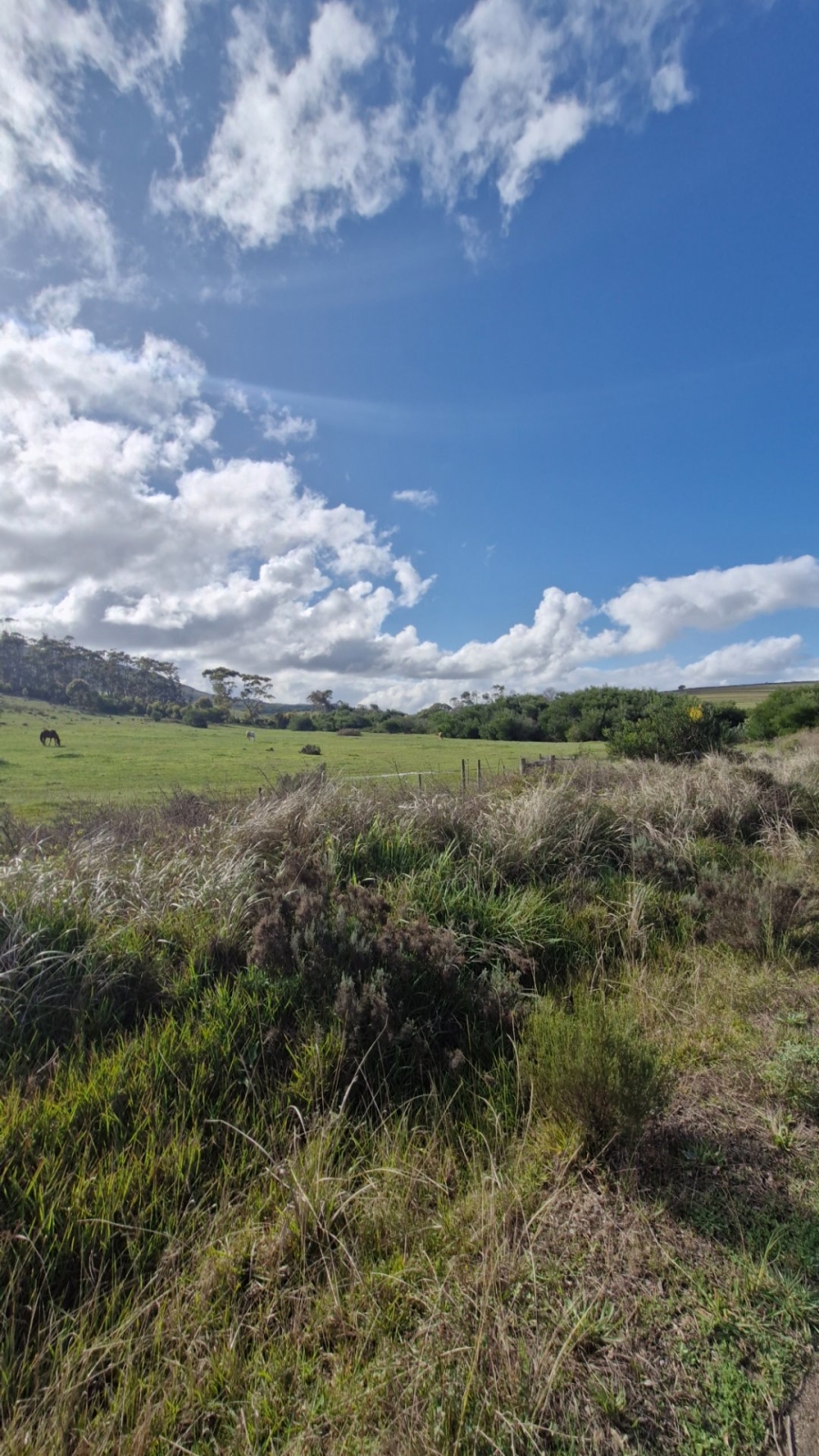 Commercial Property for Sale in Baardskeerdersbos Western Cape